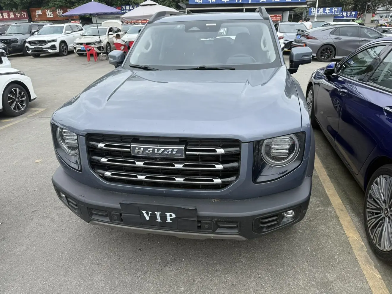 Haval Haval Big Dog 1.5T two-wheel drive horse and dog version