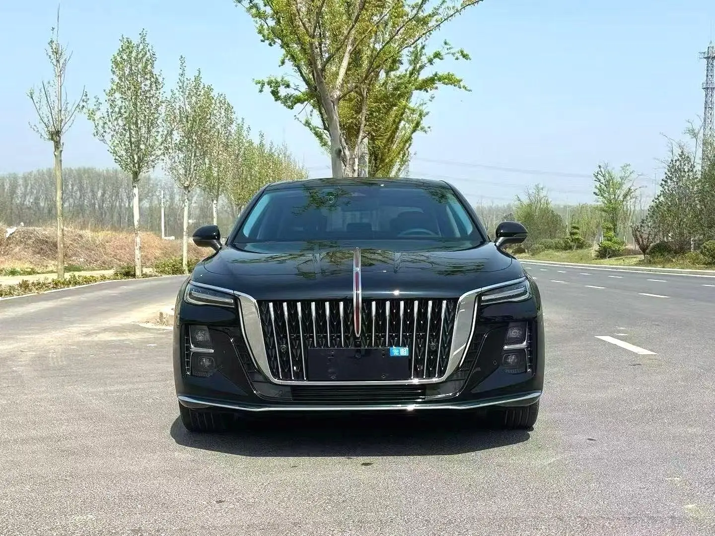 Hongqi Hongqi H5 2.0T automatic flag version