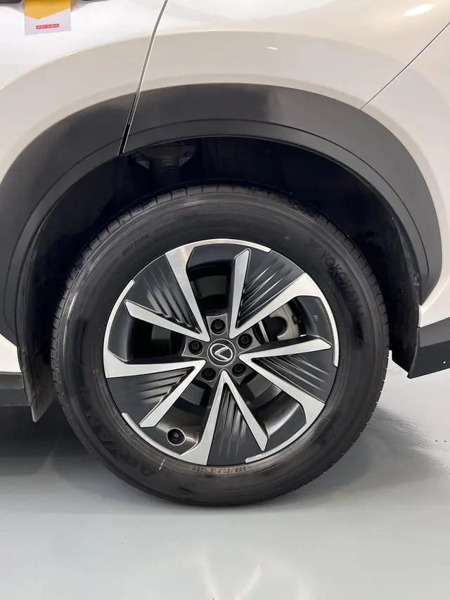 Lexus Lexus RZ 450e DIRECT4 Indulgent Edition