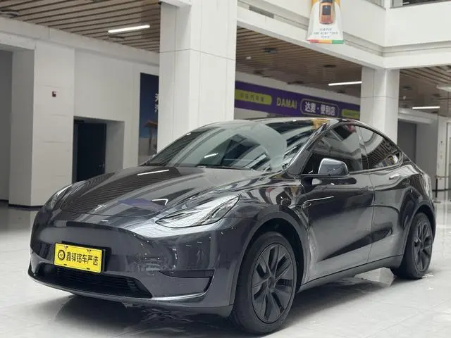 Tesla Model Y Rear-wheel drive version