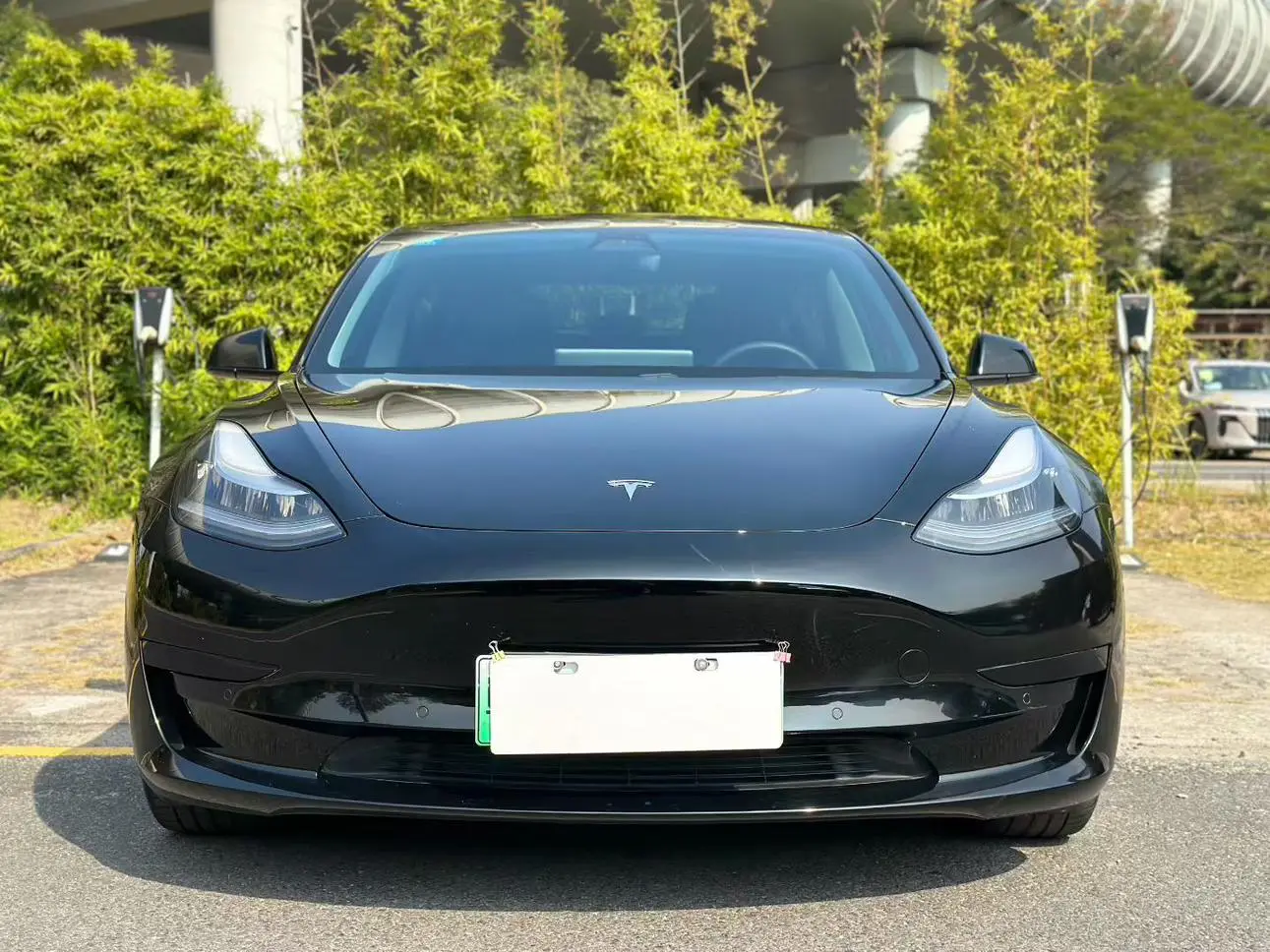 Tesla Model 3 Standard battery life rear drive upgraded version 3D1