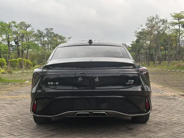Hongqi Hongqi H6 2.0T Zhishang Version