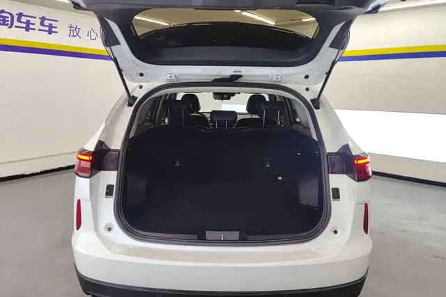 Haval Haval H6 1.5T automatic two-wheel drive classic version