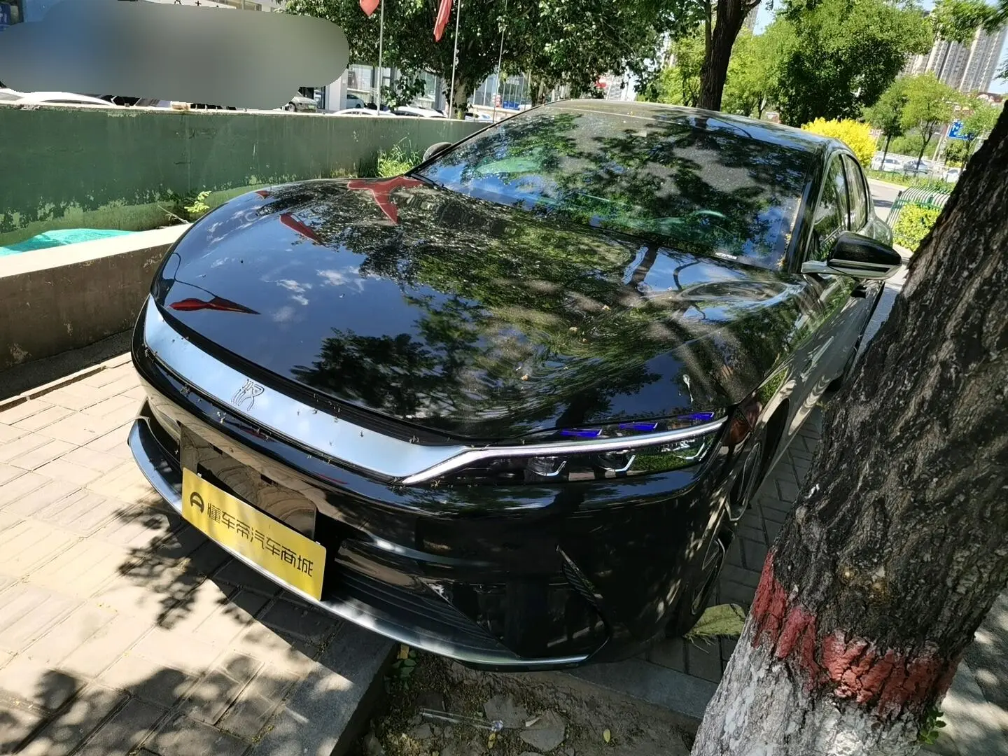 BYD Han EV Four-wheel drive high-performance version flagship
