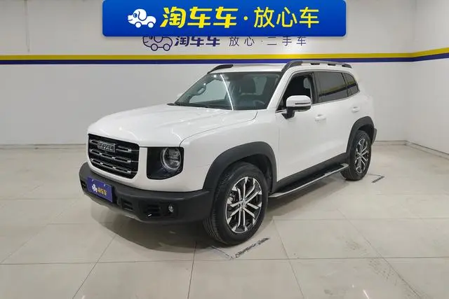 Haval Haval Big Dog 1.5T two-wheel drive Bianmu-Wangcai Edition