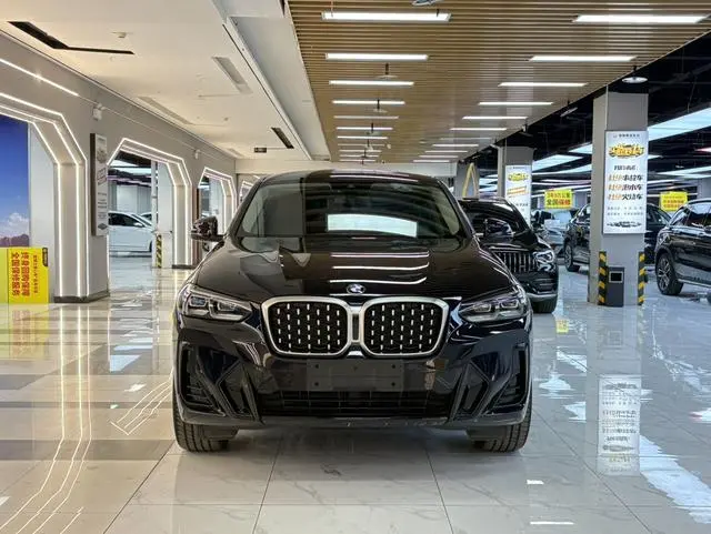 BMW BMW X4 xDrive 30i M sports suit