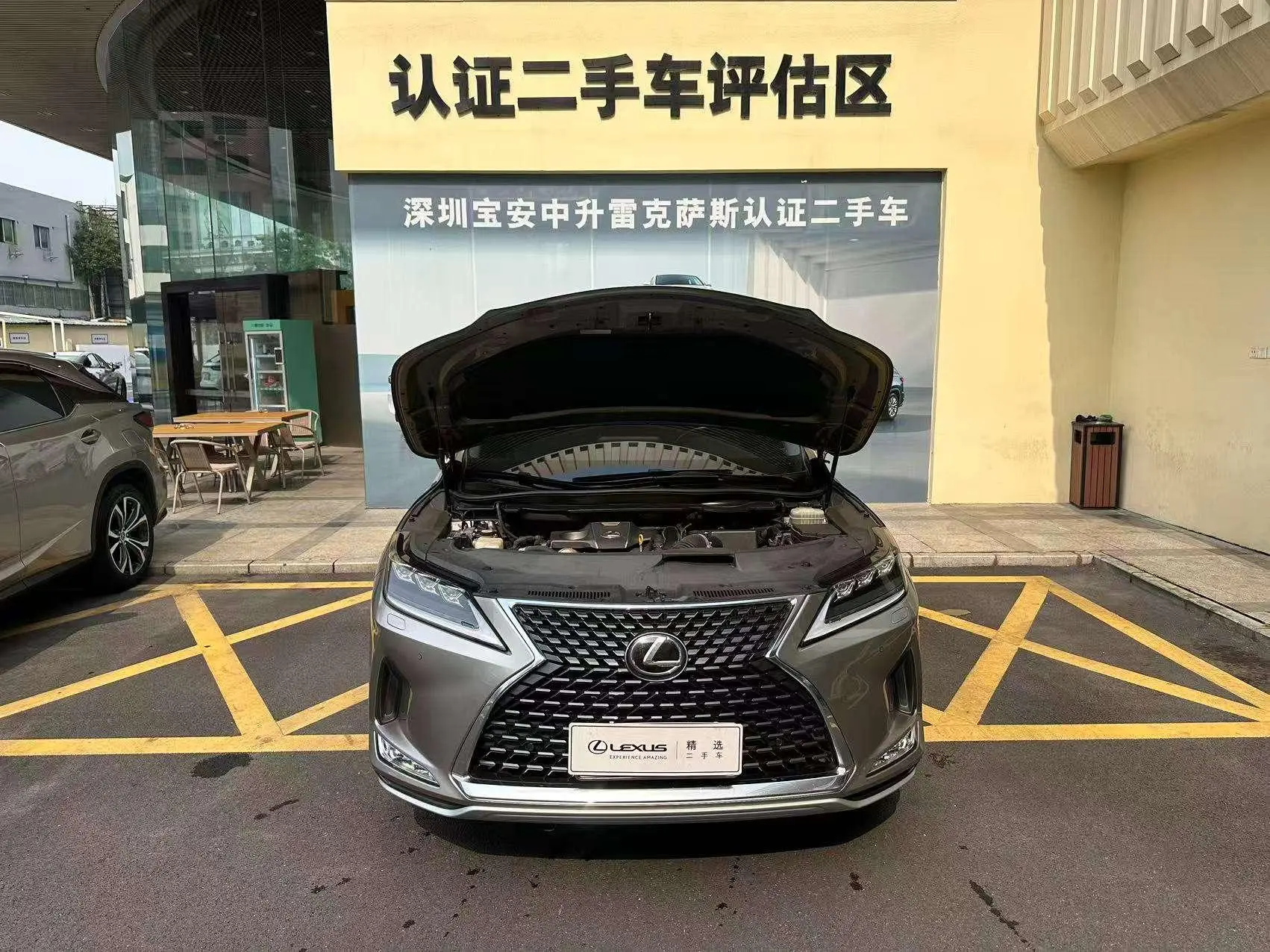 Lexus Lexus RX 300 four-wheel drive elegant version of the country VI