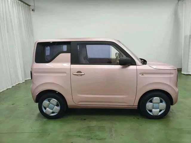 Geely Galaxy panda 200km panda mini endurance bear