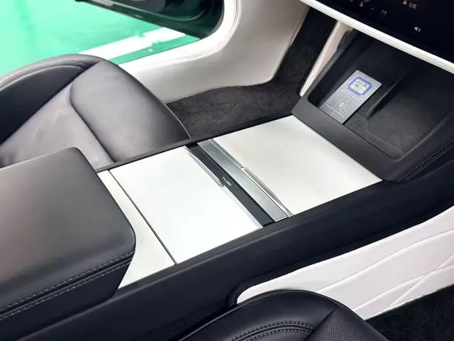 Tesla Model 3 Rear-wheel drive version