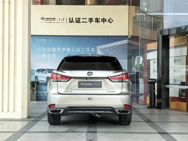 Lexus Lexus RX 300 four-wheel drive F SPORT country VI