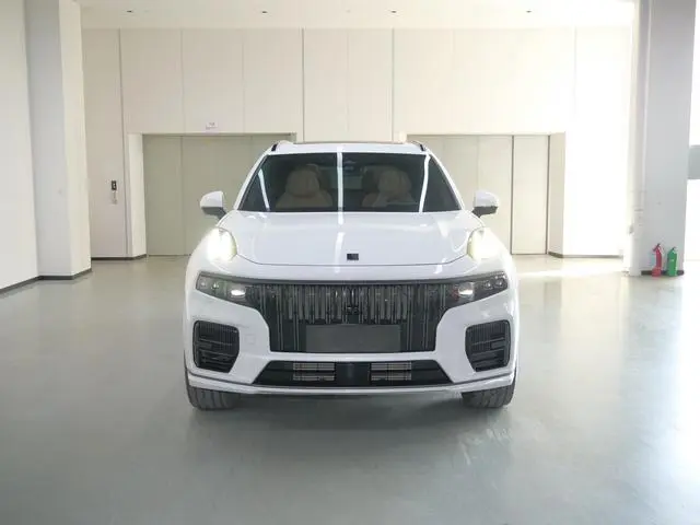 LYNK & CO Lynk &Co. 09 EM-P 2.0TD Performance version Six-seater Halo