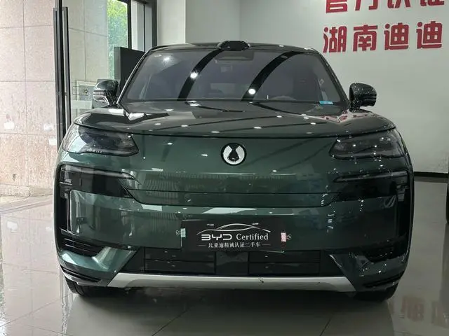 Denza Denza N9 DM Flagship type