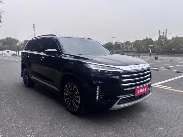 EXEED Xingtu Lanyue 390T two-wheel drive Star Rui Edition