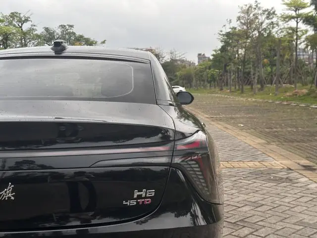 Hongqi Hongqi H6 2.0T Zhishang Version