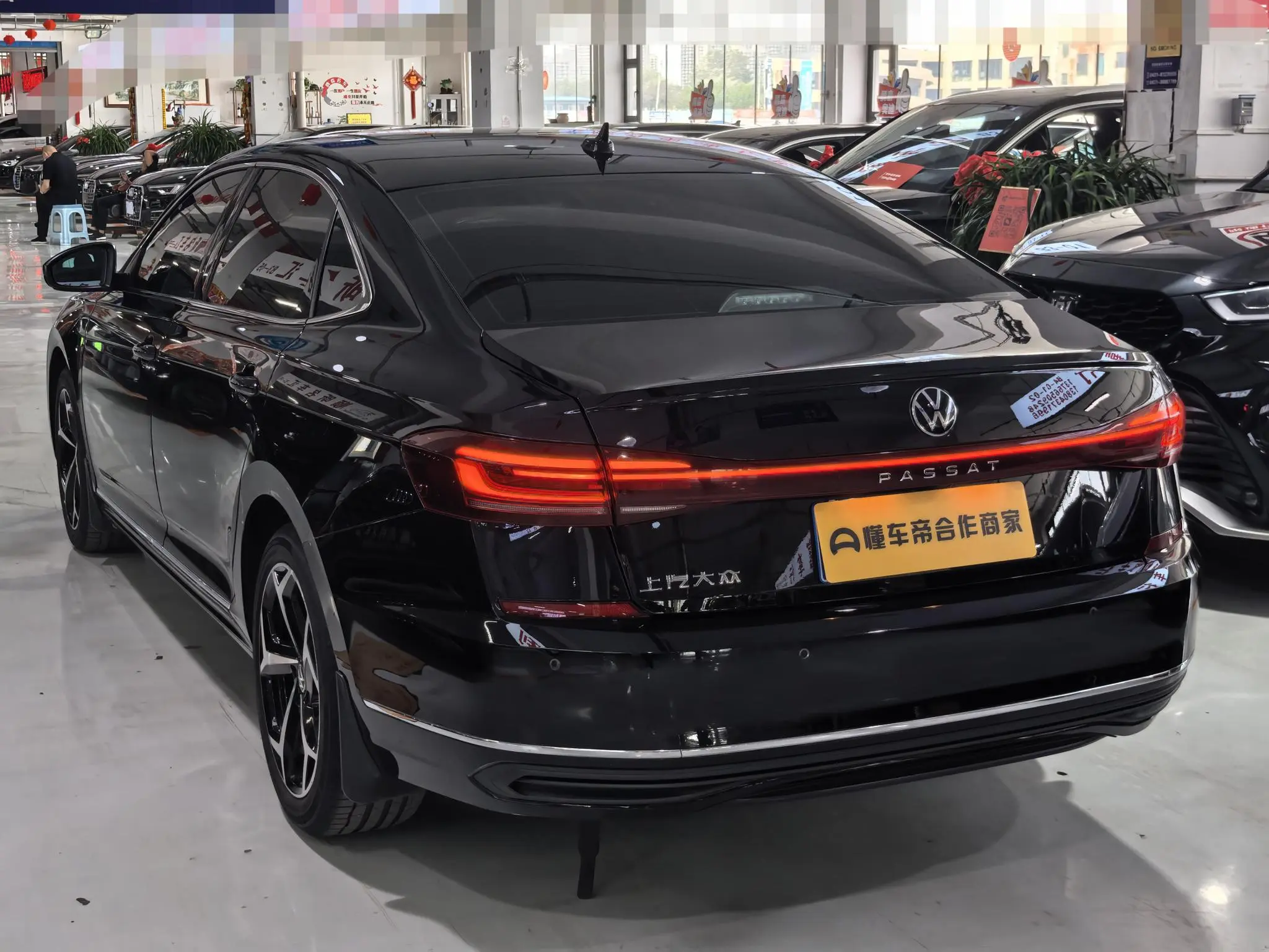 Volkswagen Passat Outstanding 330TSI Starry Sky Elite Edition
