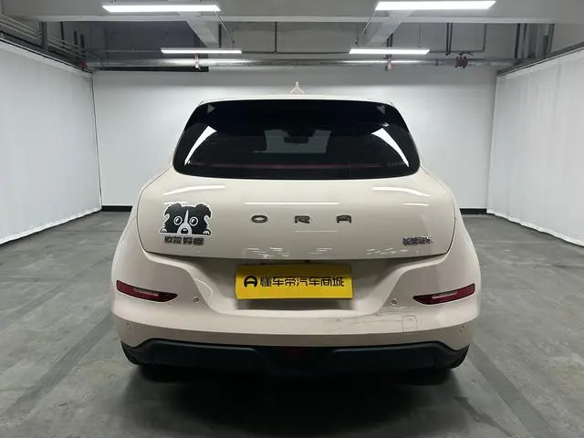 Ora Euler good cat 401km standard battery life luxury lithium iron phosphate
