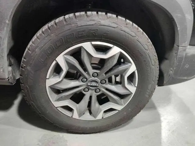 Haval Haval Big Dog 2.0T four-wheel drive Chinese Garden dog Version
