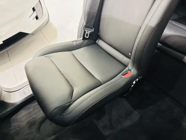 Tesla Model X 100D long battery life version