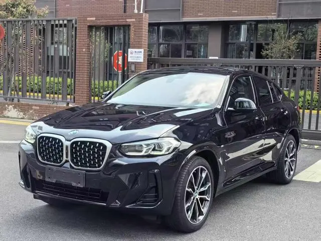 BMW BMW X4 xDrive 30i M sports suit