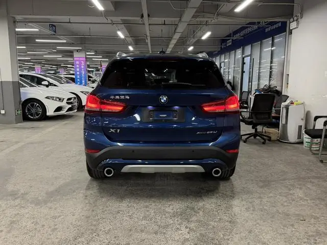 BMW BMW X1 xDrive25Li Exclusive type