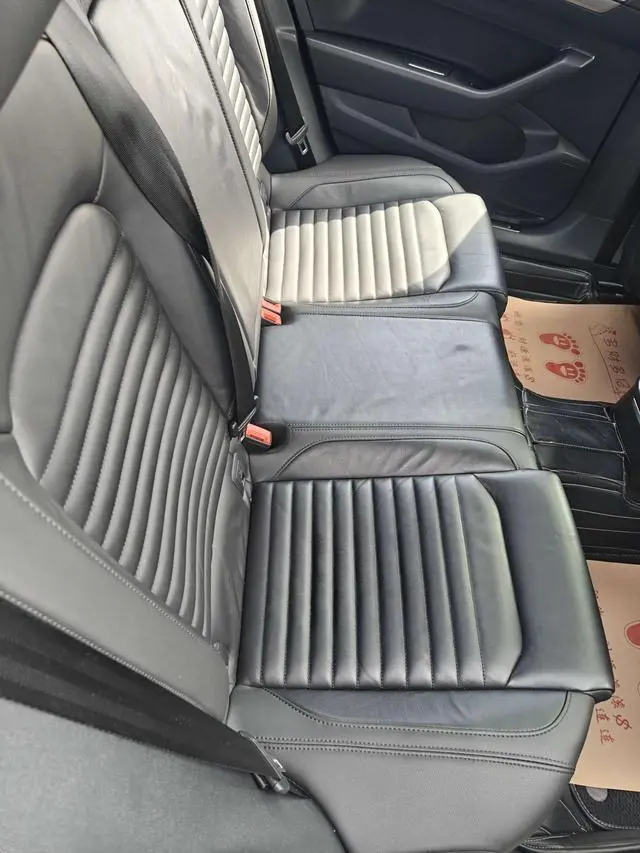 Volkswagen Magotan 330TSI DSG leading country VI