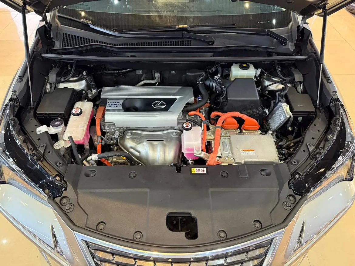 Lexus Lexus NX 300h front drive Fengshang version Country VI