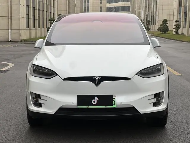 Tesla Model X 100D long battery life version