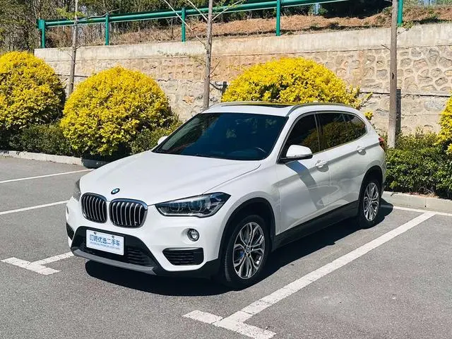 BMW BMW X1 sDrive20Li leading type