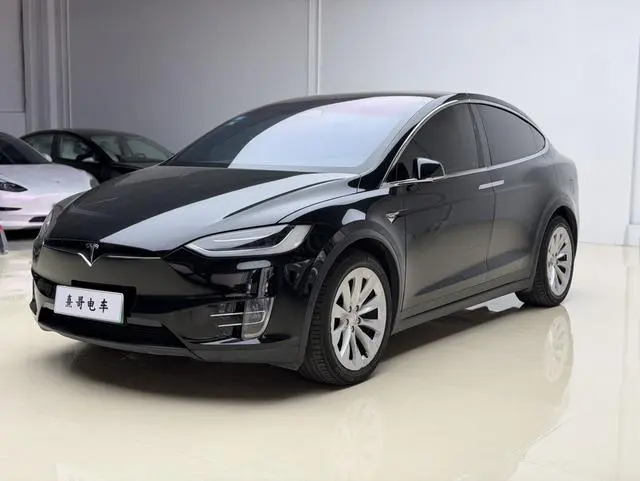 Tesla Model X 100D long battery life version