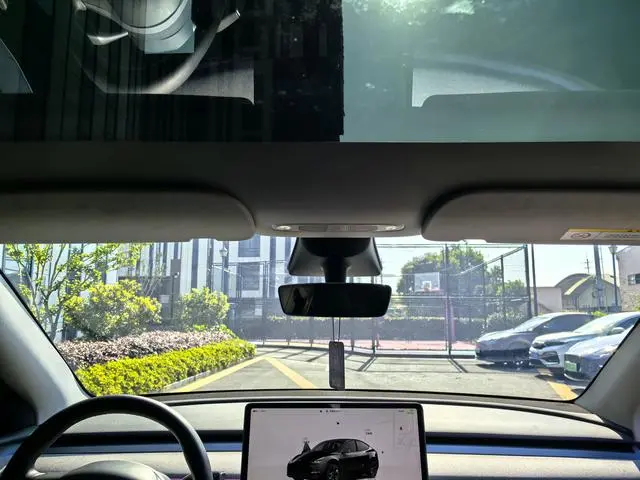 Tesla Model Y Rear-wheel drive version