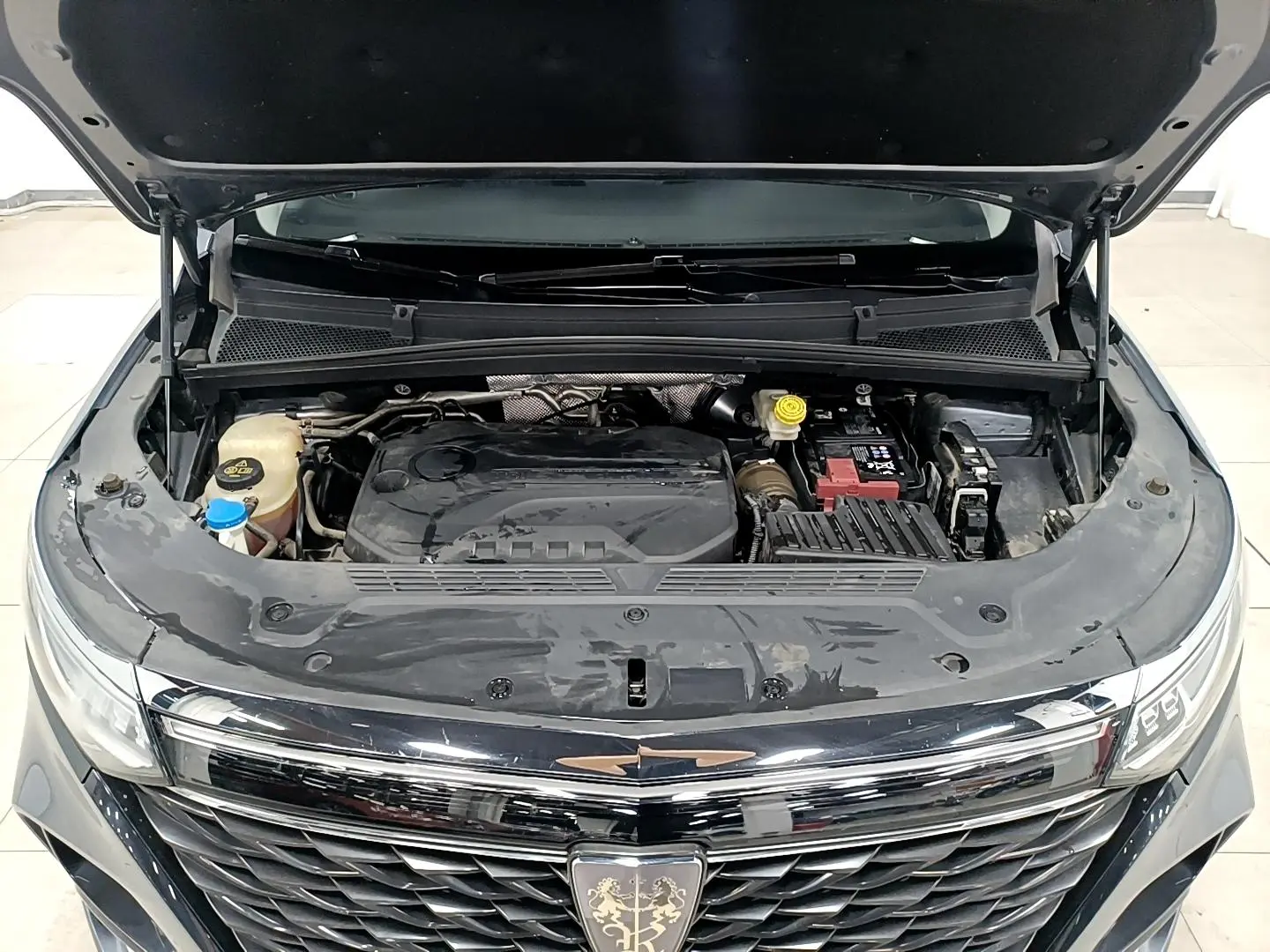 Roewe Roewe iMAX8 400TGI Premium Edition