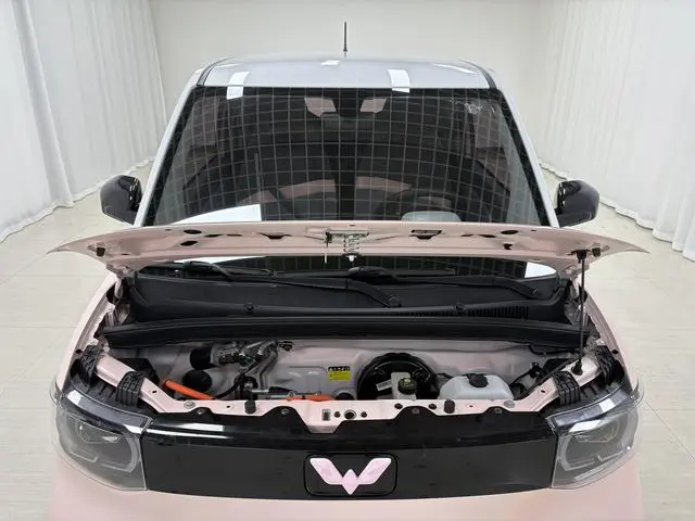 Wuling Wuling Hongguang MINIEV Macaron Premium Autumn Version Lithium Iron Phosphate