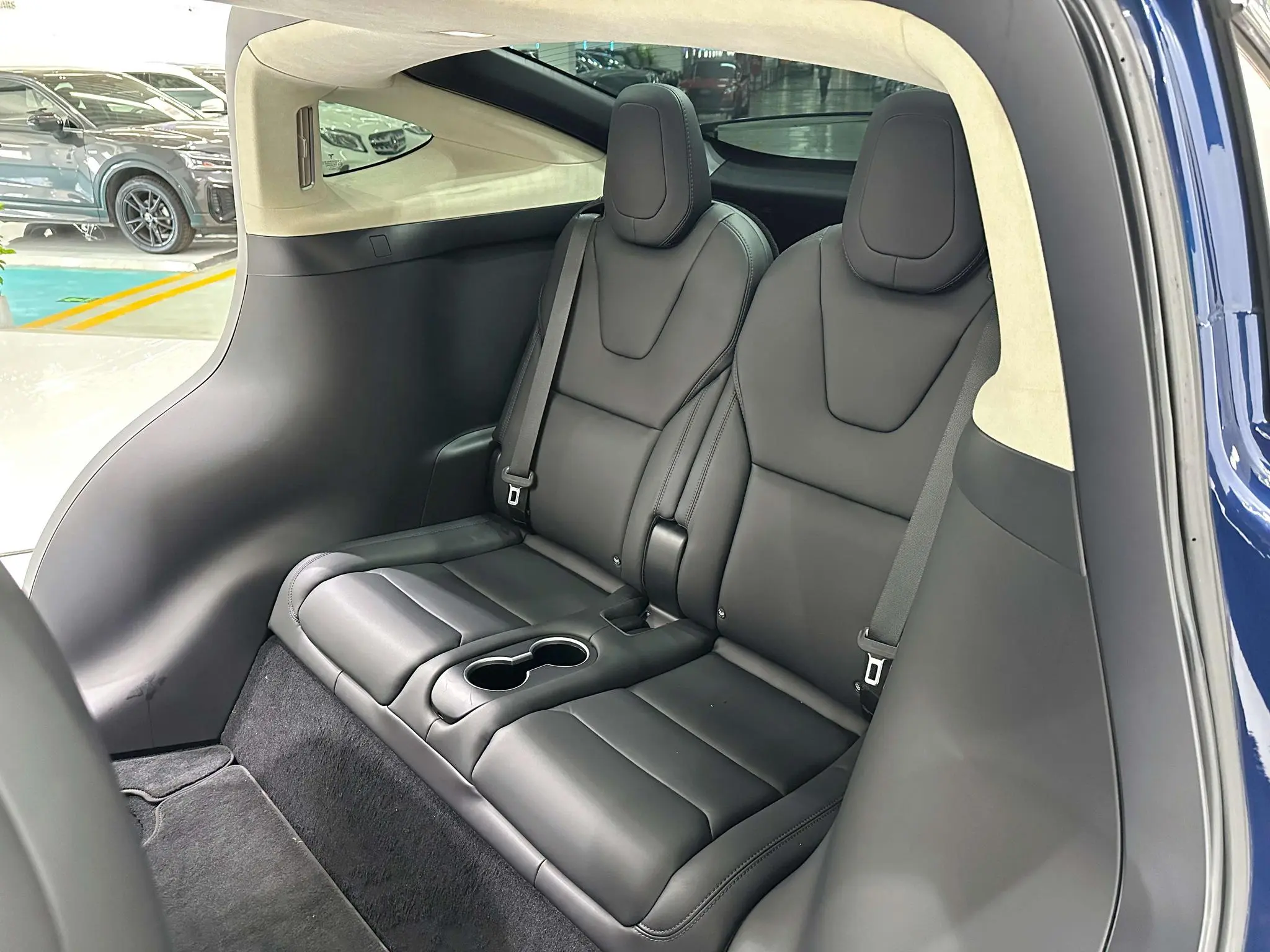 Tesla Model X 100D long battery life version