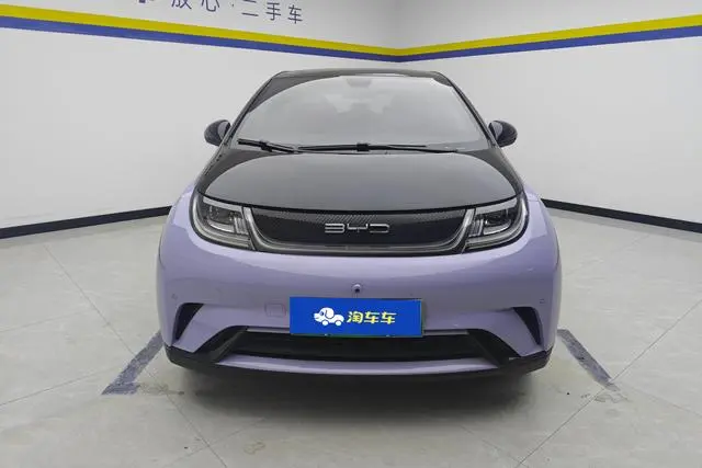 BYD dolphin Fashion edition