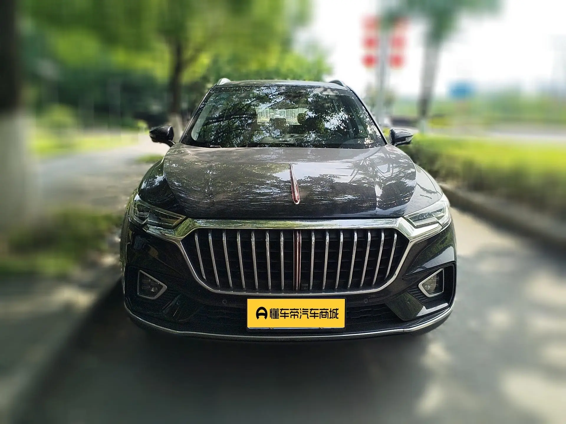 Hongqi Hongqi HS5 2.0T Zhilian Flag Enjoy Edition