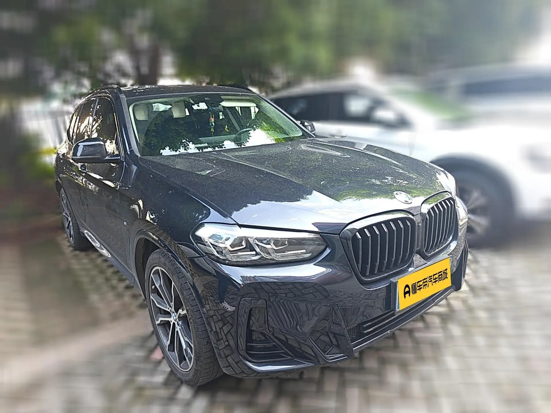 BMW BMW X3 xDrive30i Leading M Yao Ye Set