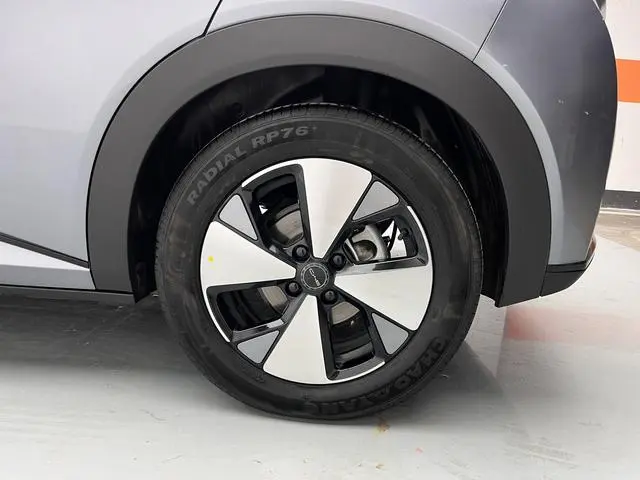BYD dolphin Fashion edition