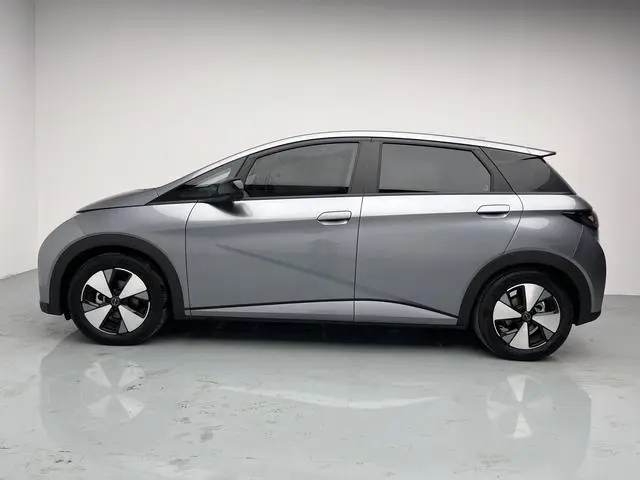 BYD dolphin Fashion edition
