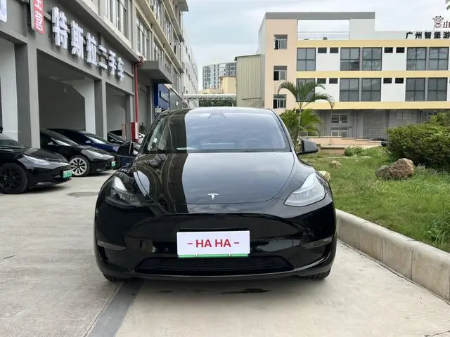 Tesla Model Y Long battery life all-wheel drive version