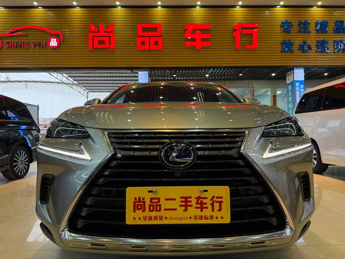 Lexus Lexus NX 300h front drive Fengshang version Country VI