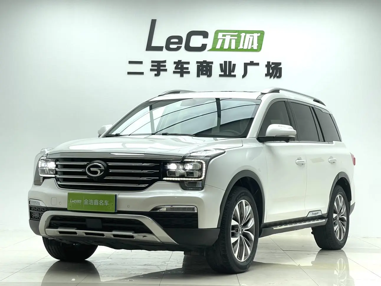 GAC Trumpchi GS8 320T two-wheel drive luxury Zhilian Edition 7 seats