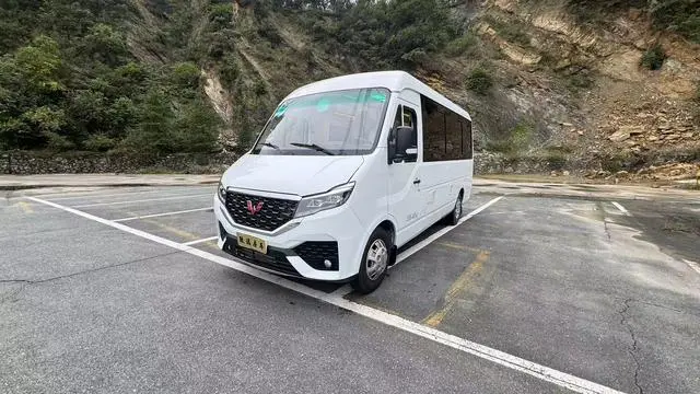 Wuling Wuling Rongguang New Card Special Vehicle 2.0L C-type sales truck single row extended double rear wheel LJM20B