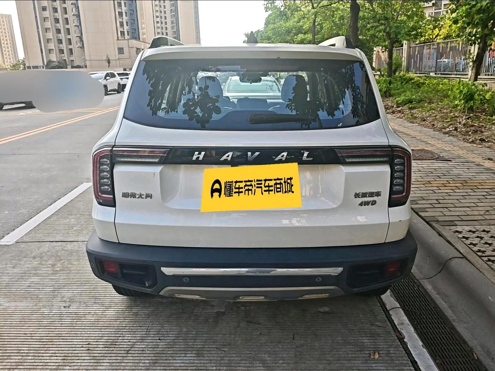 Haval Haval Big Dog 2.0T four-wheel drive Chinese Garden dog Version