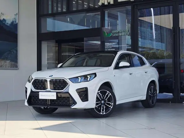 BMW BMW X2 (imported) sDrive25i M sports suit