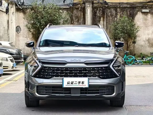 Kia Lion Platinum expands the world 2.0T two-wheel drive Premium edition