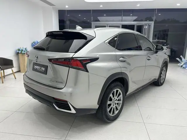 Lexus Lexus NX 300h front drive Fengshang version Country V