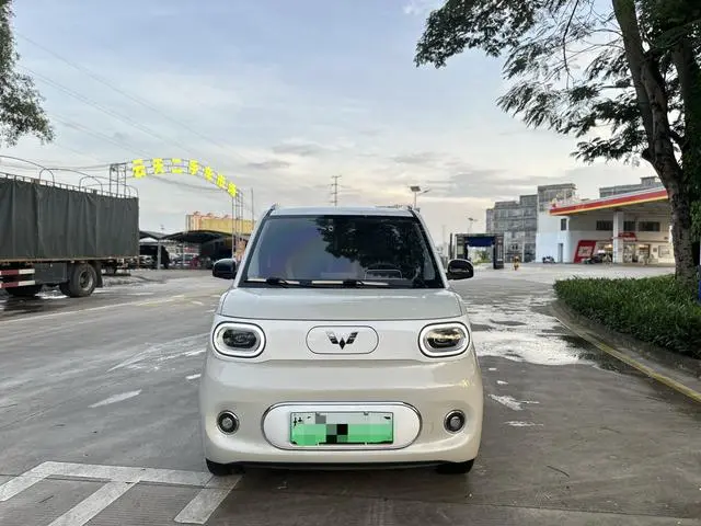 Wuling Wuling Hongguang MINIEV 215km Advanced Version Lithium Iron Phosphate