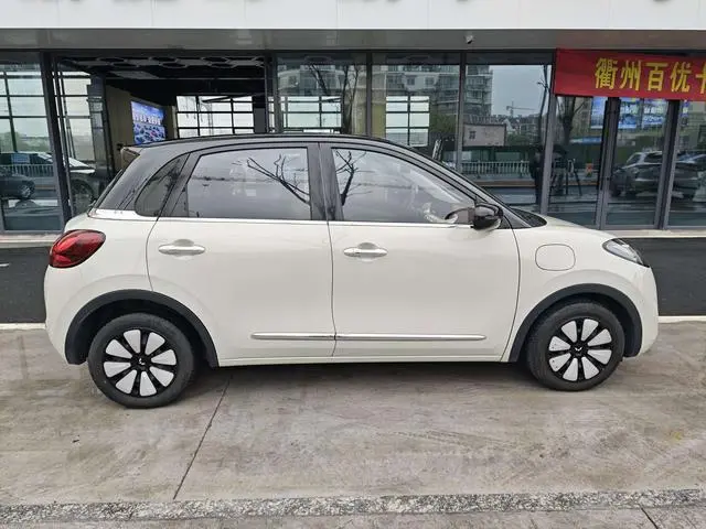 Wuling Wuling Bingguo 410KM Lingyi Exclusive Model