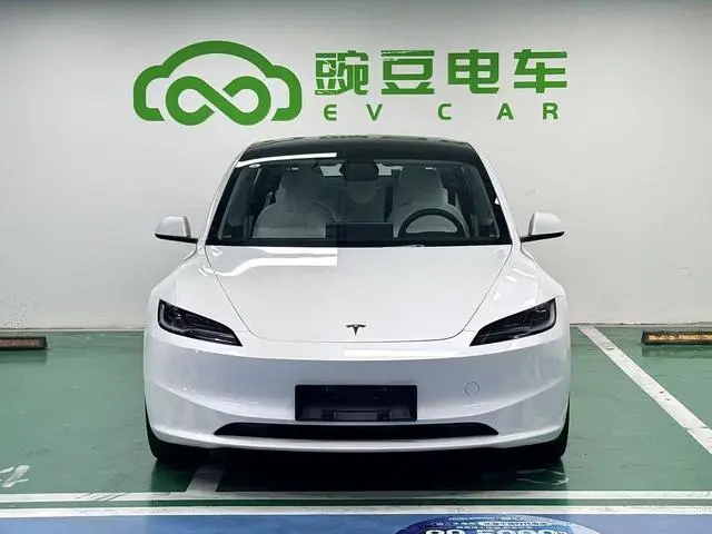 Tesla Model 3 Rear-wheel drive version