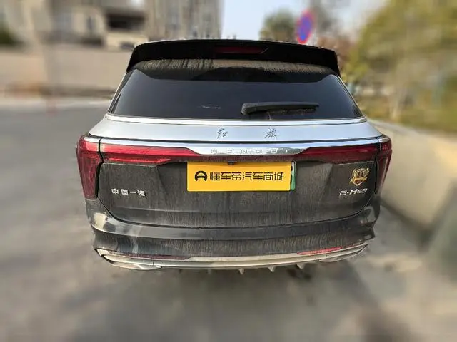 Hongqi Hongqi E-HS9 460km Flag Enjoy edition six seats
